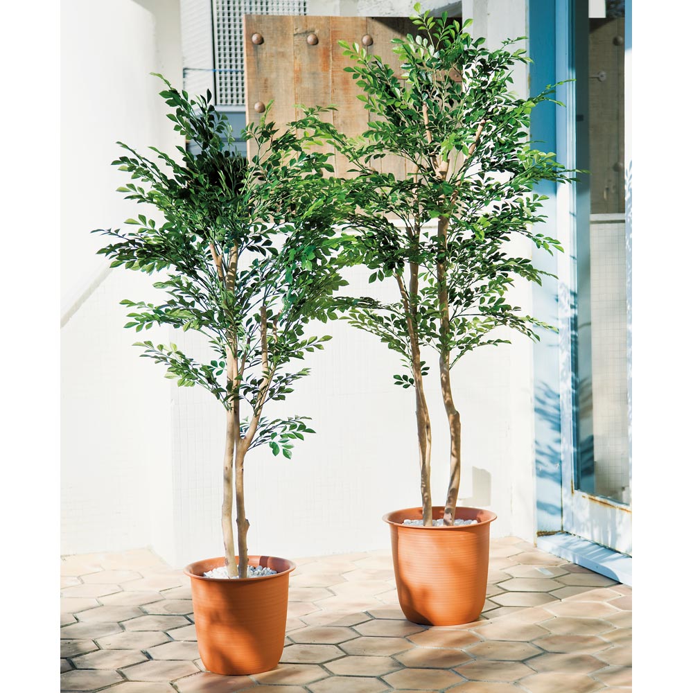 Rakuten - ≪高さ120cm≫ 人工観葉植物シマトネリコ1鉢 フェイク インテリアグリーン 人工観葉植物 造花 G03113 ＼LINE友だち登録でクーポン／