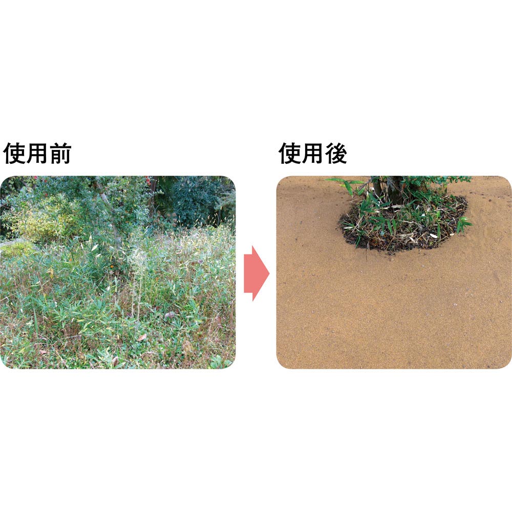 �ڥ����ݥ�10��OFF 2/10���� ��򤫤��ƸǤޤ��� ���������� �����ǥ˥󥰥��å� G86102 ��LINEͧ������Ͽ�ǥ����ݥ�