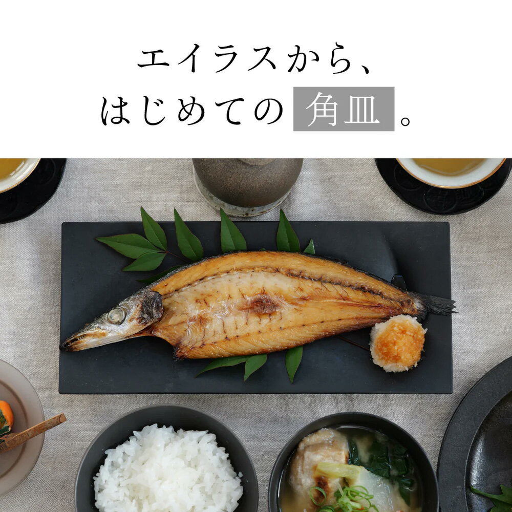 ARAS ヒートコレクション角皿たまり 電子レンジ使用可能の割れないお皿 同色2枚組 平皿 長皿 ワンプレート 食器 KR1217 ＼LINE友だち登録でクーポン／ 2