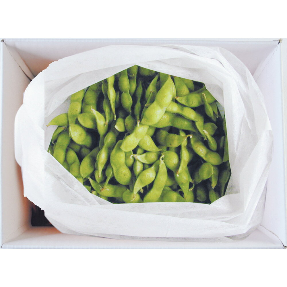 ディノス楽天市場店の山形産「秘伝豆」 1.5kg【9月下旬頃-お届け】 野菜 果物 FJ0716 ＼LINE友だち登録でクーポン／｜アングル2