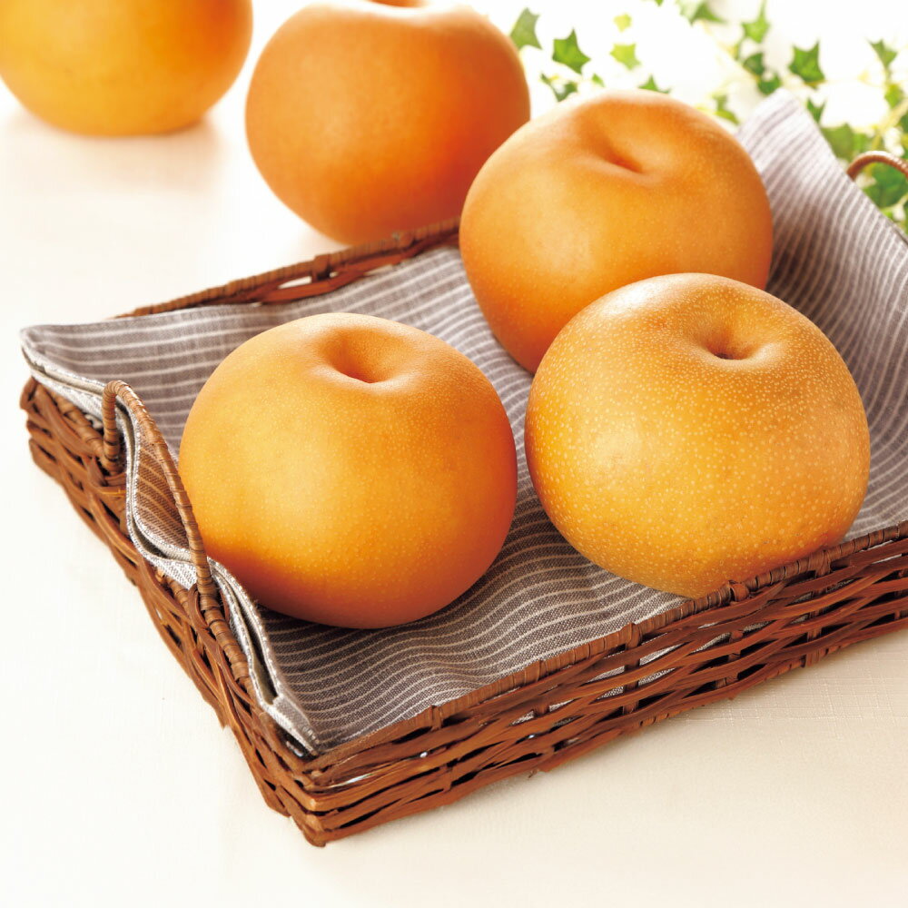 フルーツ 野菜 果物 茨城産 梨 3種食べ比べセット 計2.2kg【9月中旬-10月上旬頃お届け】 FK8602