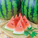 【クーポン10%OFF 6/4 20時~4h限定】 フルーツ 野菜 果物 秋田産 「アカオニすいか」 1玉(5kg)【8月上旬頃-お届け】 FK8617