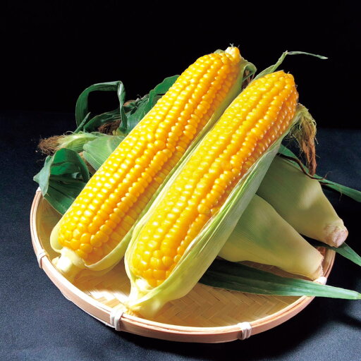 野菜 果物 新潟・津南町産 島田さんの「鬼もろこし(恵味)」5kg【8月中旬-9月中旬頃お届け】 FK8622 野菜 果物 新潟・津南町産 島田さんの「鬼もろこし(恵味)」5kg【8月中旬-9月中旬頃お届け】 FK8622