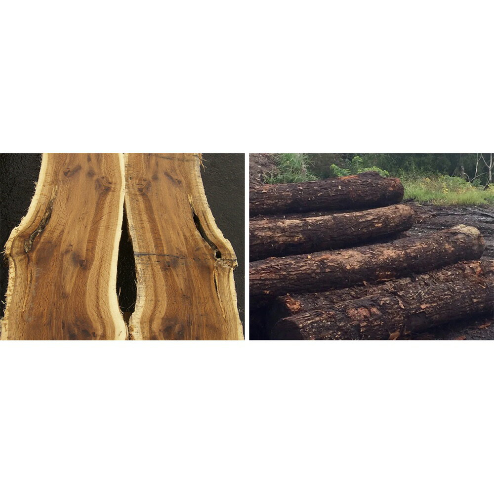 �ڥ����ݥ�10��OFF 3/5����� �̲�����ȥ꡼�� ���åɥǥ������꡼�� �ǥ��� ��120����70cm ���ե��� ��̳ ��ش� �� 588342 ��LINEͧ������Ͽ�ǥ����ݥ�