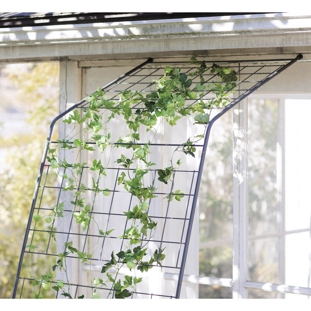 【クーポン配布 11月27日1:59迄】 アイアングリーンカーテン〈奥行広々ハイタイプ〉 お得な2枚セット G86703