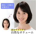 ウィッグ ヘアケア ふんわりピース(部分ウィッグ) M48701