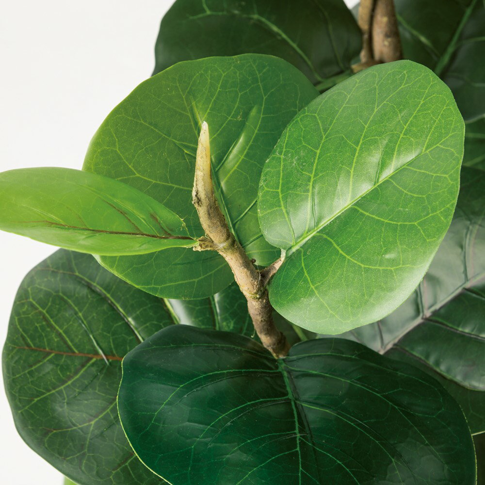 ��⤵120cm��CT���޲ù� �������졼�� �ե����� ����ƥꥢ���꡼�� �͹����տ�ʪ ¤�� G88071 ��LINEͧ������Ͽ�ǥ����ݥ�