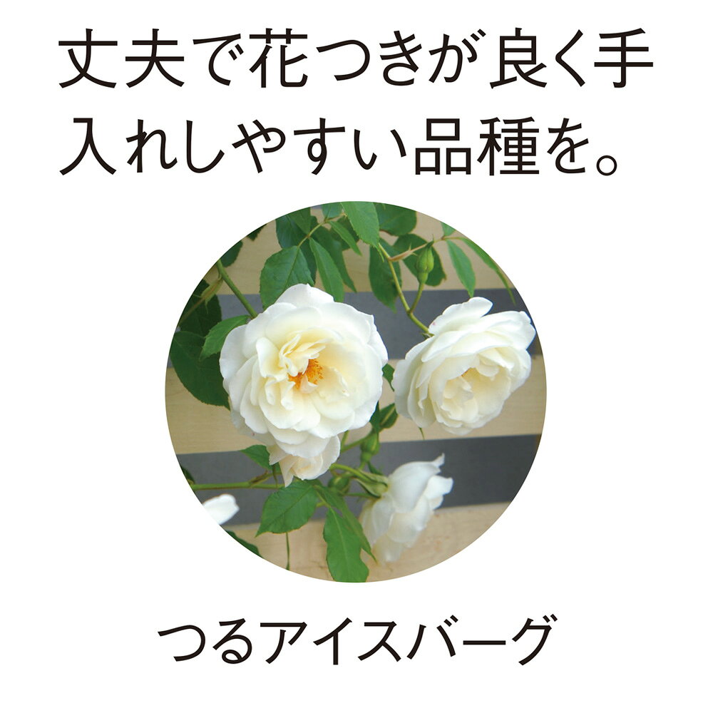 プランター台付きローズトレリス グレー2枚組 G01808 ＼LINE友だち登録でクーポン／