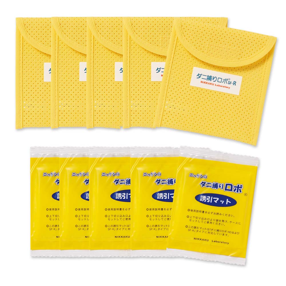 �ڳ�ŷ1�̡� �֥��������ܡ� ���եȥ����� �쥮��顼������ 5���� �ʥ٥åɡ����Ĥδ��ѡ� ���׸���� �����༣���� �ݽ� ������������ 621406