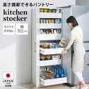 キッチンストッカー 隙間収納 キッチン収納 スライドトレー式キッチンストッカー 幅60cm 886830