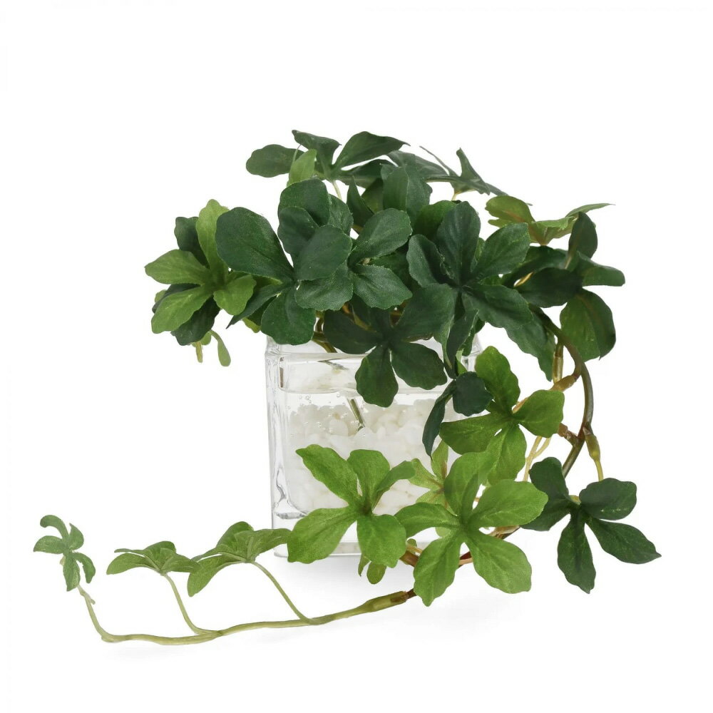 �ߥ˥��꡼��2�ĥ��å� �ե����� ����ƥꥢ���꡼�� �͹����տ�ʪ ¤�� 601705 ��LINEͧ������Ͽ�ǥ����ݥ�