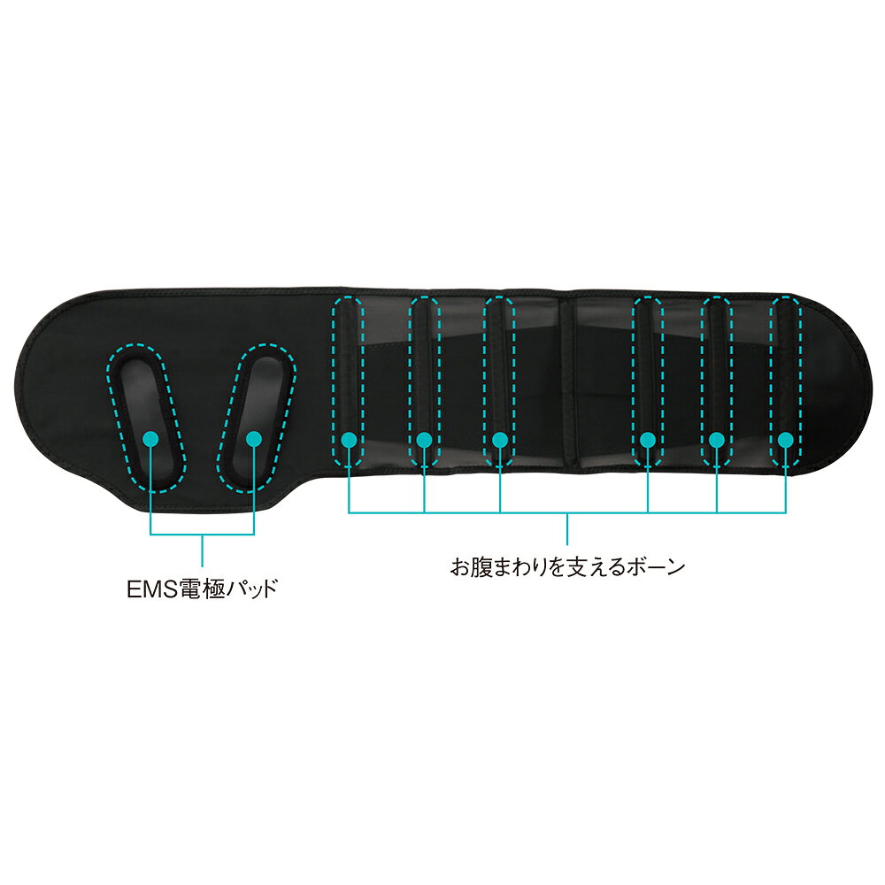 【クーポン7月11日迄】 ブラデリスNY×ヤーマン/ くびれキュット モア シェイプ フィットネスウェア エクササイズ C19040 ＼LINE友だち登録でクーポン／ dinos-11348693 ディノス楽天市場店 サンプル画像2