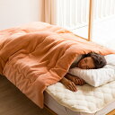 【クーポン最大5千円OFF 10/4 20時から4h限定】 ≪セミダブル≫ 【ディノス限定販売】ヒートループ(R)ハイパー 中わた入り発熱毛布 増量タイプ 掛け毛布 ブランケット 毛布 610706