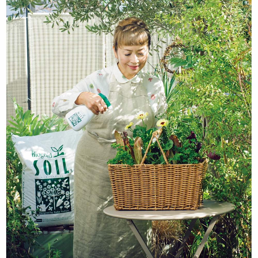 【クーポン10％OFF 1/11迄】 有機JAS規格別表1適合資材バイオゴールド ミスト 1本 G85658