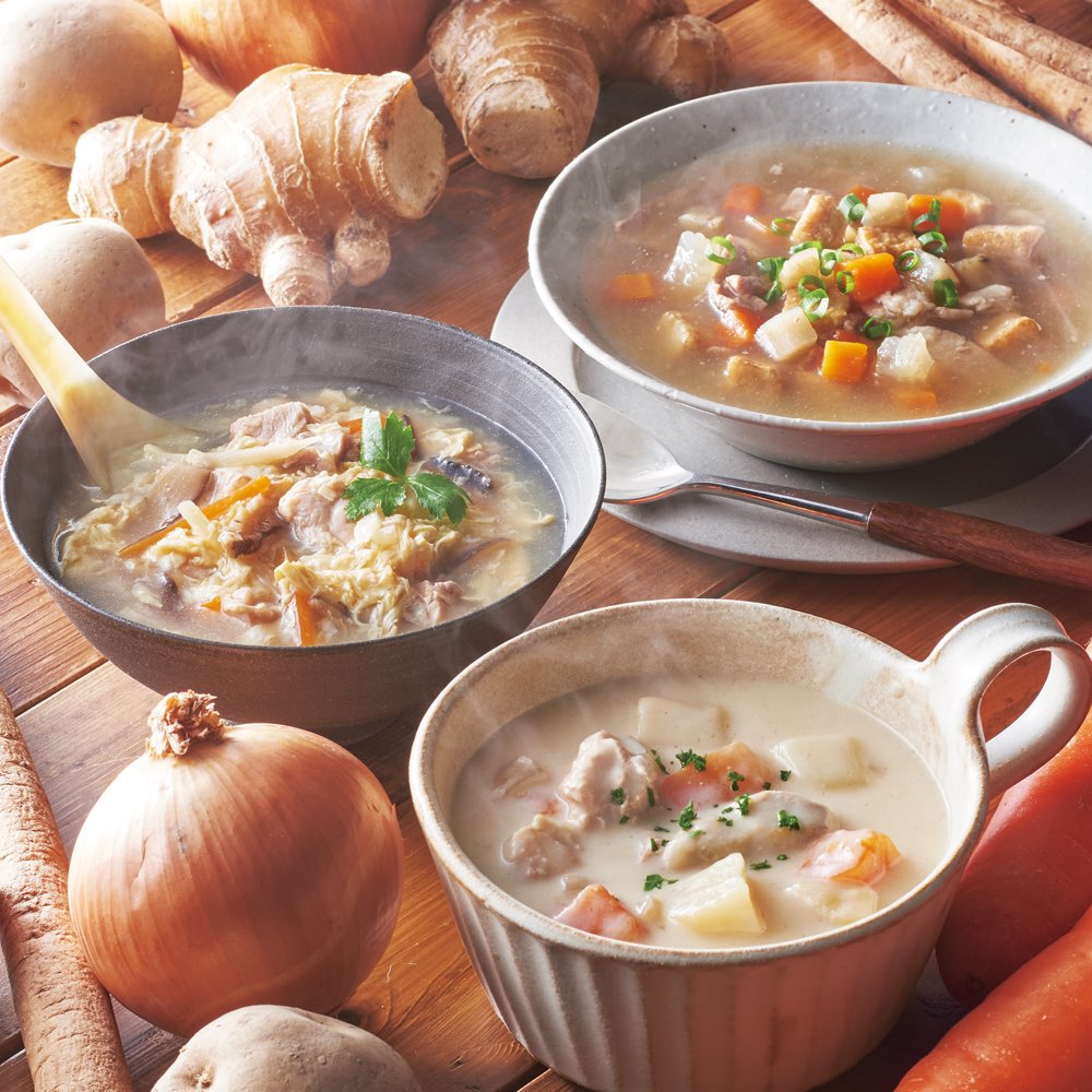 【クーポン配布 11月27日1：59迄】 DELICA ごろごろ野菜とたんぱくのスープ 3種×各3袋 ウェルネスフー..