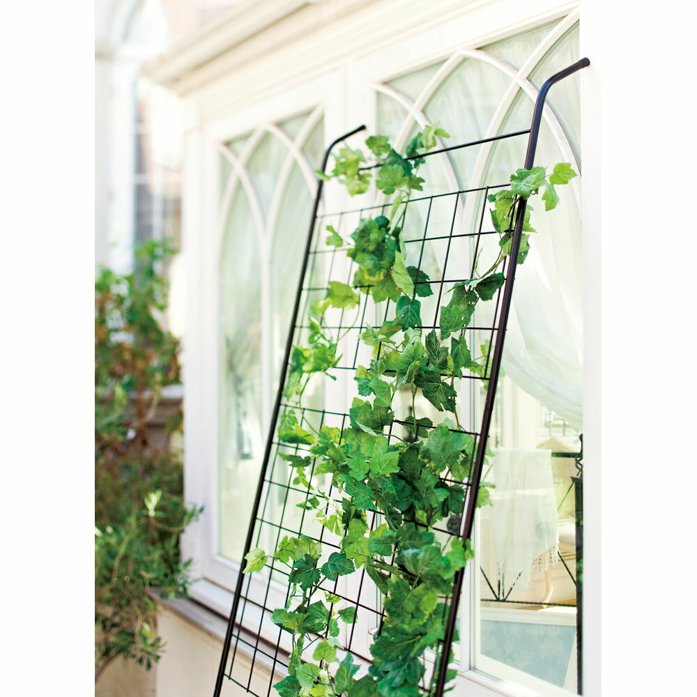 【クーポン配布 11月27日1:59迄】 アイアングリーンカーテン トレリス G86717