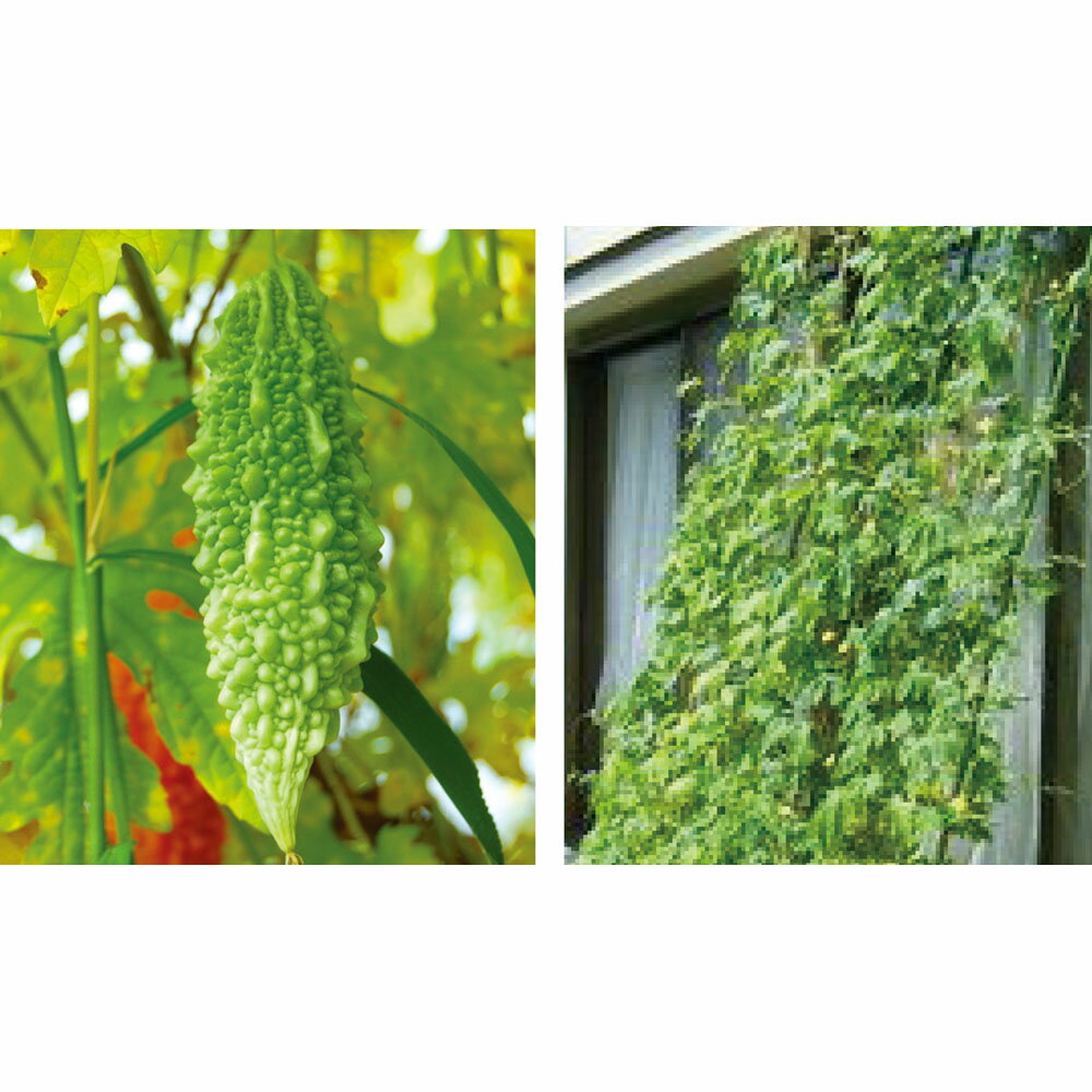 �ڥ����ݥ�10��OFF�� �������󥰥꡼�󥫡��ƥ� �ץ�󥿡����դ� G86719 ��LINEͧ������Ͽ�ǥ����ݥ�