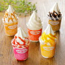 【クーポン最大10%OFF 7/13 10時から】 アイスクリーム シャーベット 氷菓 スイーツ お菓子 北海道「札幌ミルクハウス」ソフト&サンデー8個 NH0632