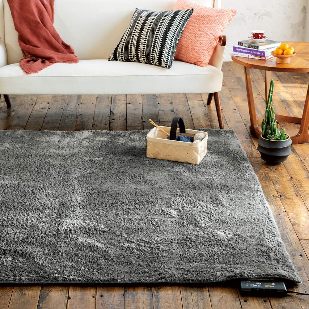 ≪約200×300cm≫ やわらかマイクロファイバーの多色シャギーラグ〈ラルジュ〉洗えるタイプ 洗えるラグ カ..