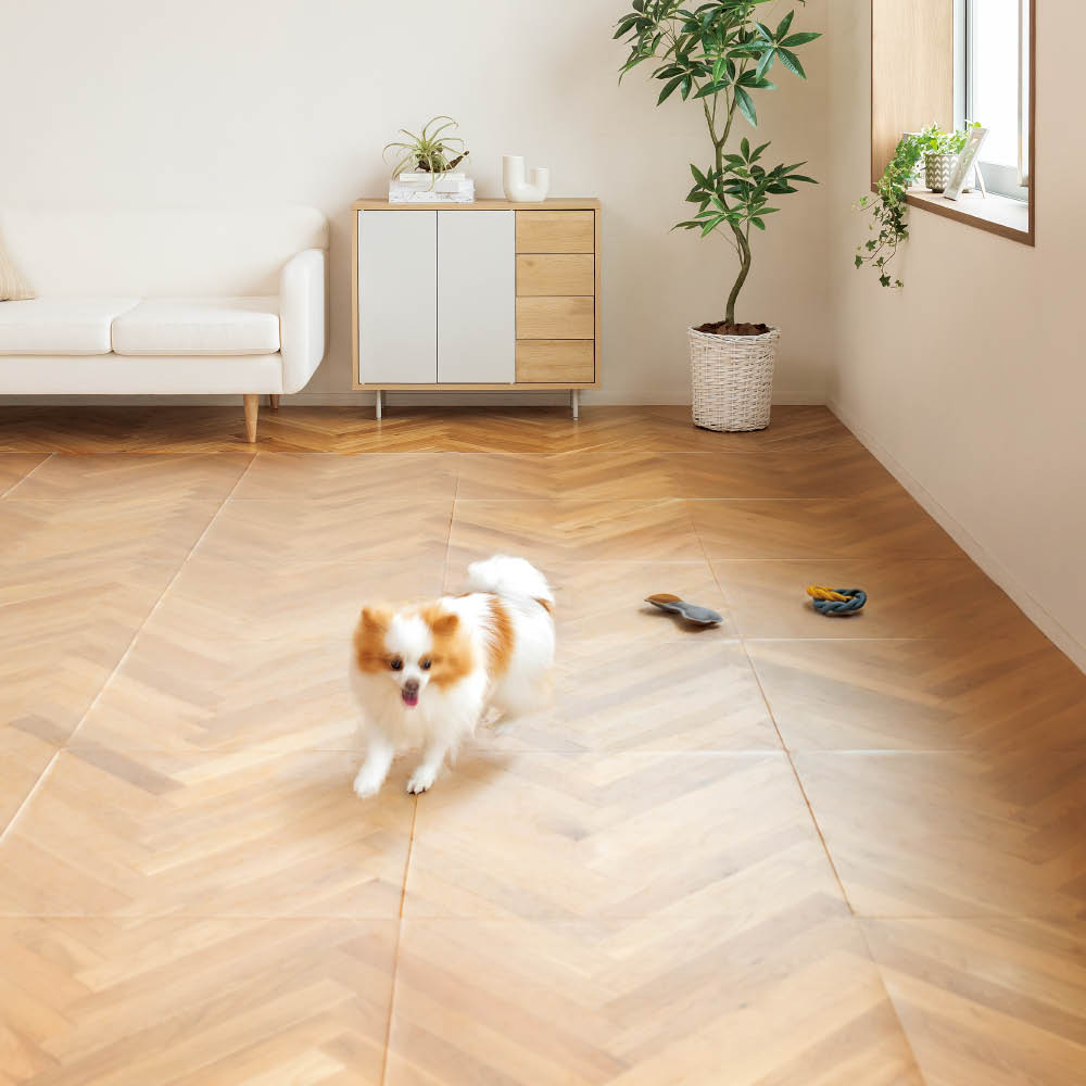 【クーポン10％OFF 1月16日1：59迄】 【ディノス限定販売】クラレプラスチックス 透明保護マット 60×60cm 4枚 手入れ リフォーム用品 掃除 お手入れ用品 623005