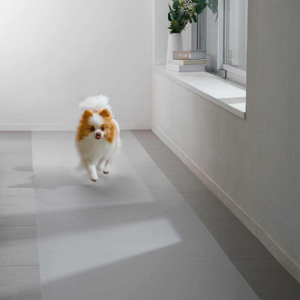 【クーポン10％OFF 1月16日1：59迄】 【ディノス限定販売】クラレプラスチックス 透明保護マット 60×240cm 手入れ リフォーム用品 掃除 お手入れ用品 623007