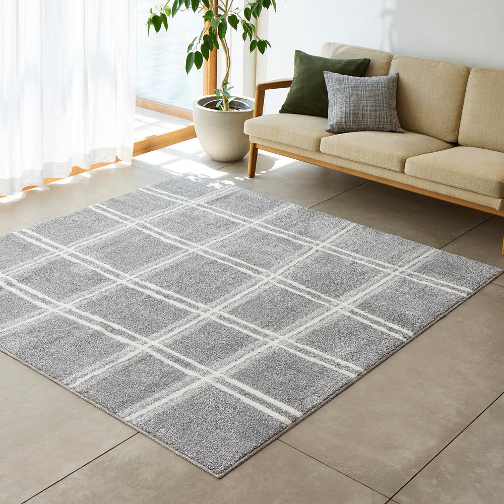 【クーポン10月10日迄】 ≪約130×190cm≫ ファブリーズリビングラグ ラグ 絨毯 カーペット マット 654704 おしゃれ ＼LINE友だち登録でクーポン／ dinos-11342895 ディノス楽天市場店 パッケージ画像