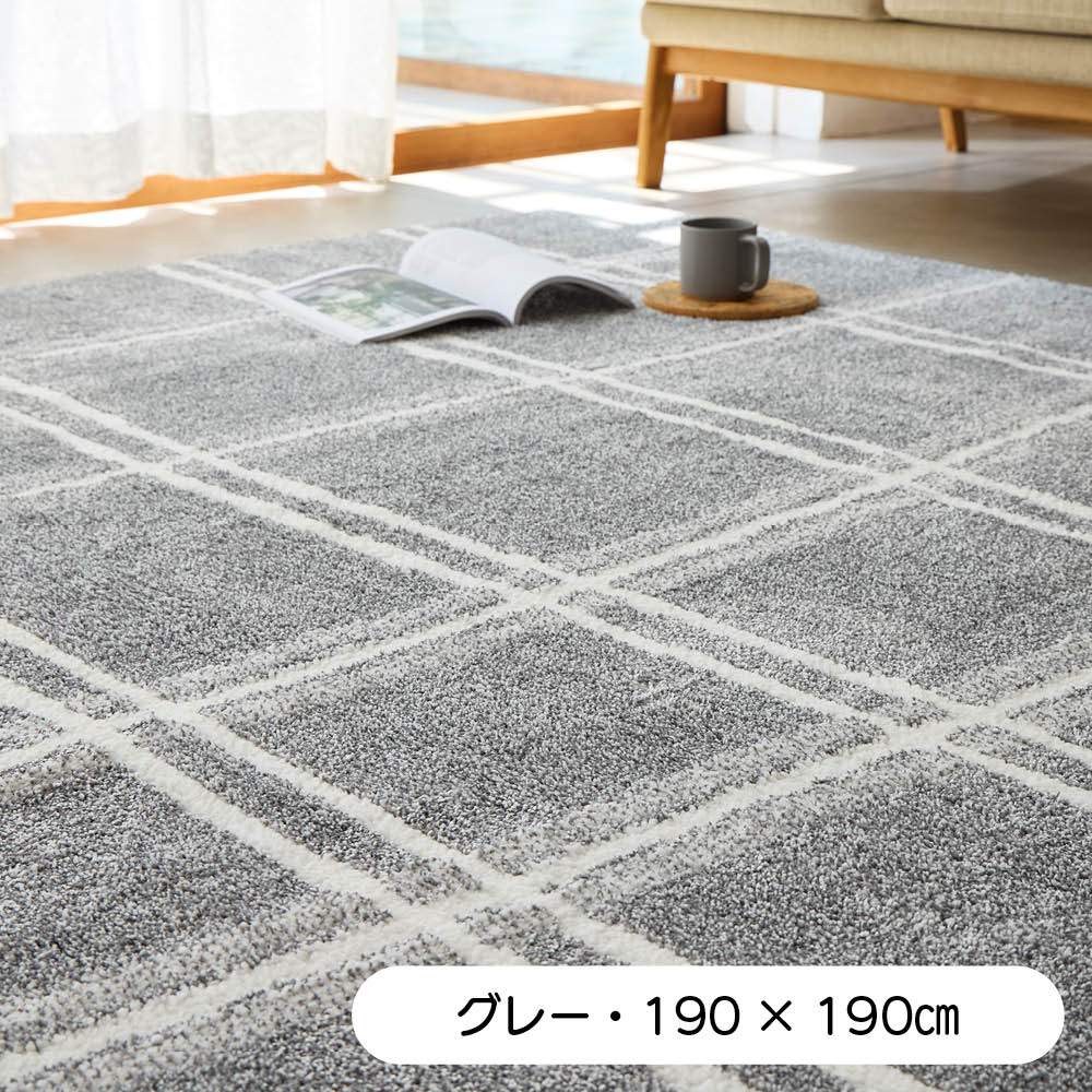 【クーポン10月10日迄】 ≪約130×190cm≫ ファブリーズリビングラグ ラグ 絨毯 カーペット マット 654704 おしゃれ ＼LINE友だち登録でクーポン／ dinos-11342895 ディノス楽天市場店 サンプル画像3