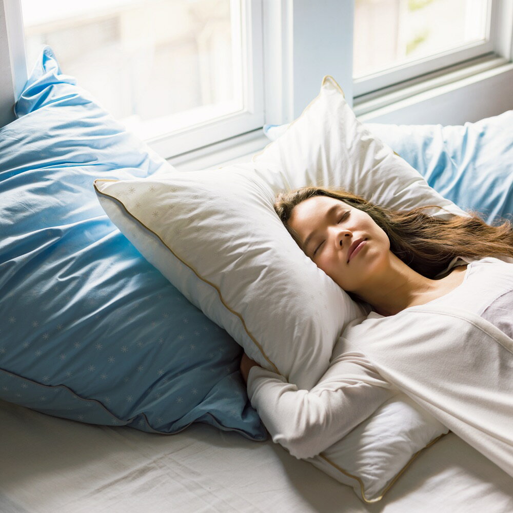 【クーポン10％OFF 1/30迄】 フォスフレイクス枕クラシック＆ロイヤーレ 枕のみ ハーフボディ 枕 624304 ＼LINE友だち登録でクーポン／