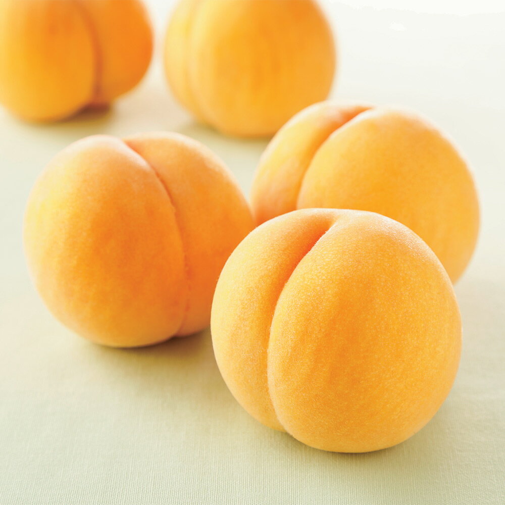 フルーツ 野菜 果物 山梨産 黄美娘(きみこ) 2kg 【7月下旬-8月上旬頃お届け】 NH0661
