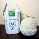 フルーツ 野菜 果物 熊本産 小森ファーム 「まいひめおじさんのメロン」 2L 2玉(計3.2kg) 【7月上旬-8月上旬頃お届け】 NH0669