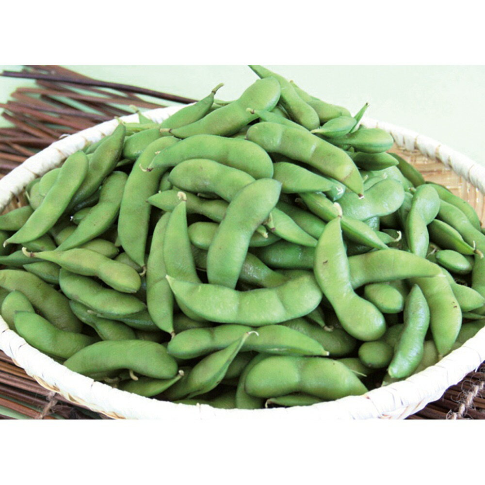 野菜 果物 山形・鶴岡産 名人の白山だだちゃ豆 1.2kg 【8月上旬-下旬頃お届け】 NH0675
