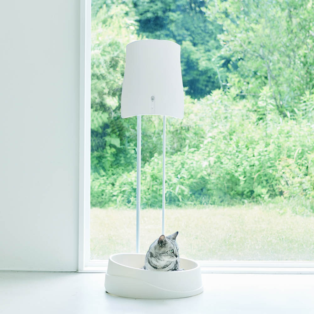 �ڥ����ݥ�10��OFF 12/26 1��59���� ���󥹥��� ����æ����������ɥ��å� ������� ������� 623002