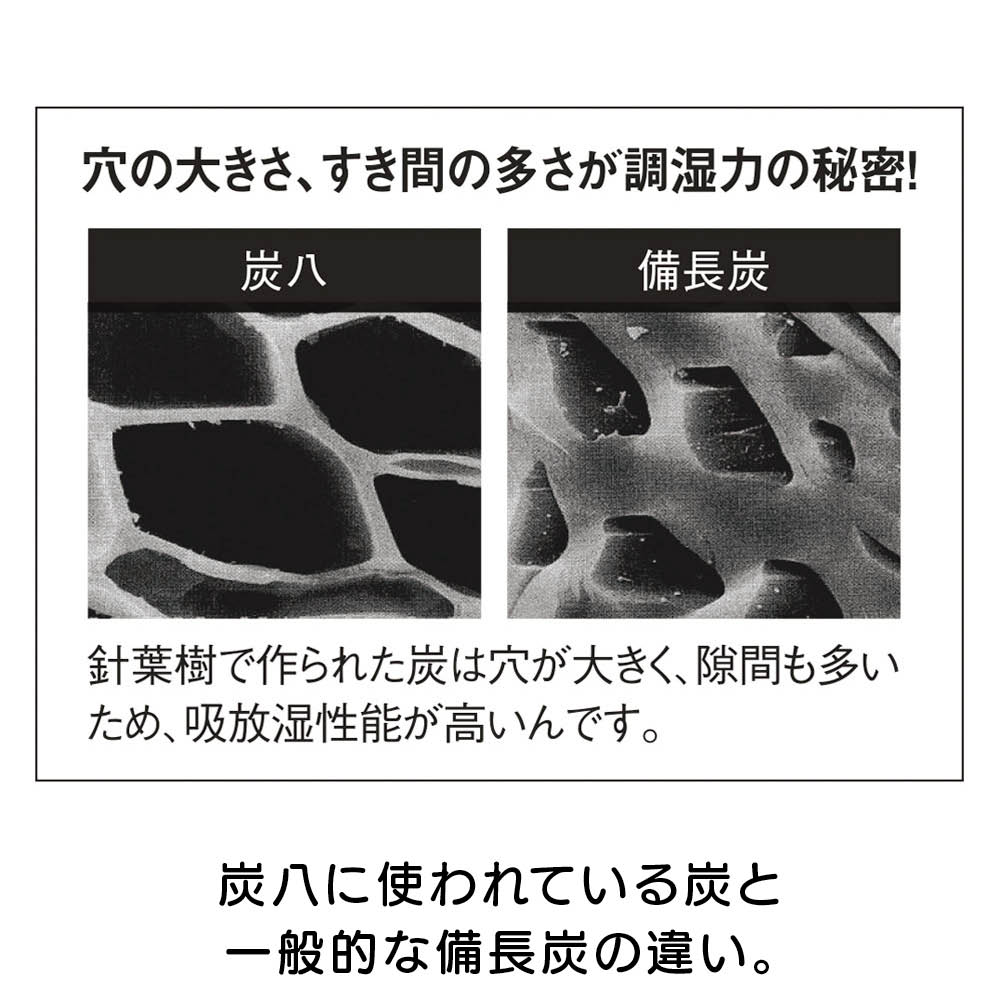 調湿木炭「出雲屋 炭八」 3リットル5個組 日用品 便利グッズ 生活雑貨 651103 ＼LINE友だち登録でクーポン／ dinos-11341329 ディノス楽天市場店 サンプル画像2