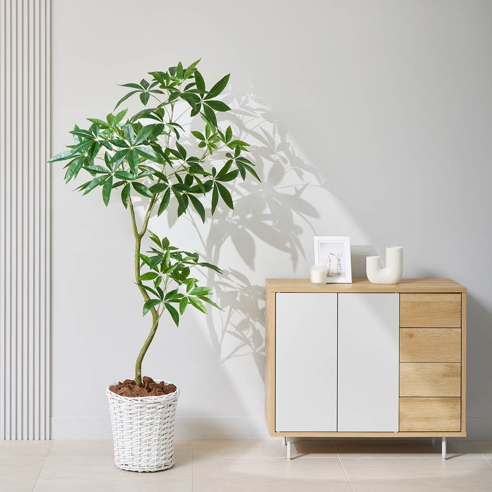 【クーポン10％OFF 12/26 1：59迄】 細部の質感にこだわったインテリアグリーン パキラ フェイク インテリアグリーン 人工観葉植物 造花 622102