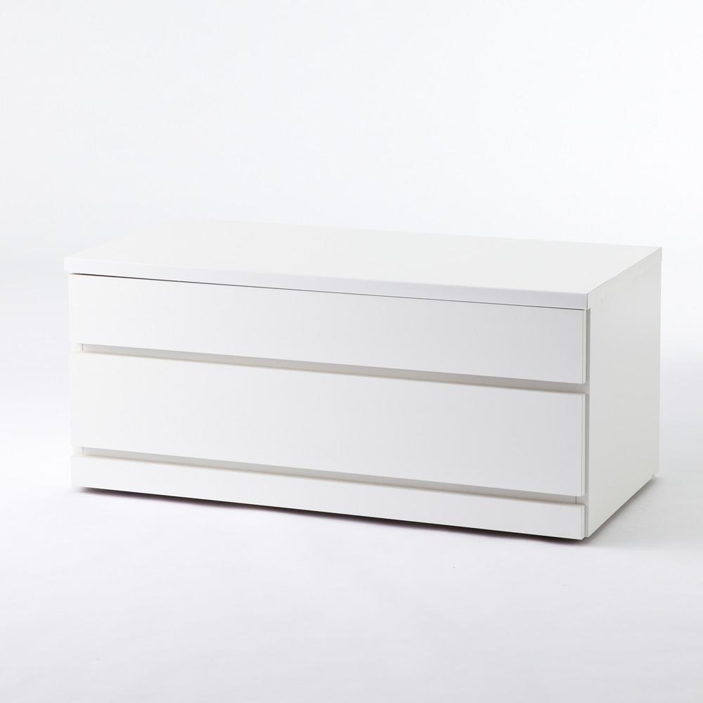 クローゼットチェスト（隠しキャスター付き） 幅90cm・2段 押入れ クローゼット収納 衣類収納 H95609 ＼LINE友だち登録でクーポン／