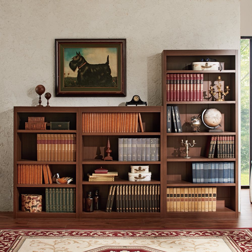 乐天商城 - ≪幅60高さ120cm≫ 頑丈棚板がっちり本棚 本棚 ブックシェルフ 書棚 ラック シェルフ 644136 ＼LINE友だち登録でクーポン／