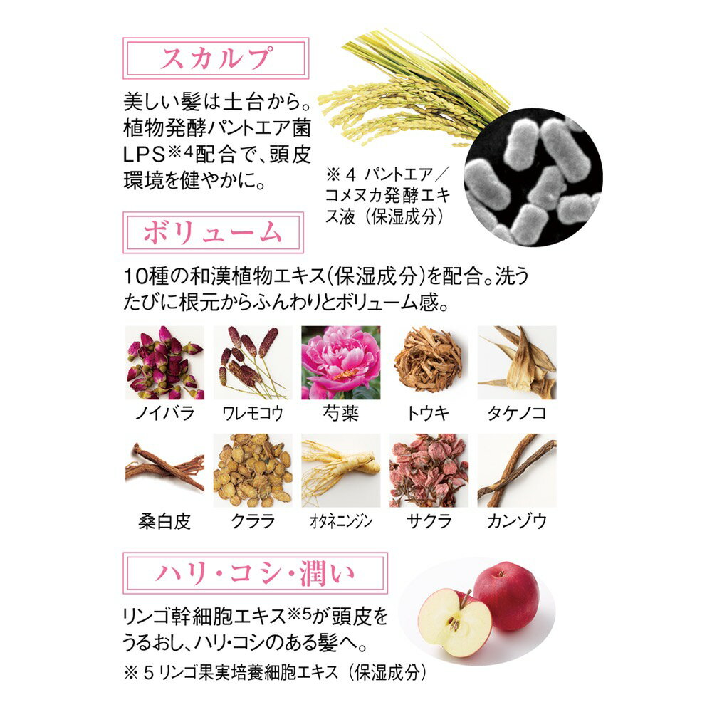 imini/���ߥ� �ץ�������סʥ����륤���󥷥��ס��� �����ѡ�360ml�ˤΤ�����3�ĥ��å� �إ����� M72308 ��LINEͧ������Ͽ�ǥ����ݥ�