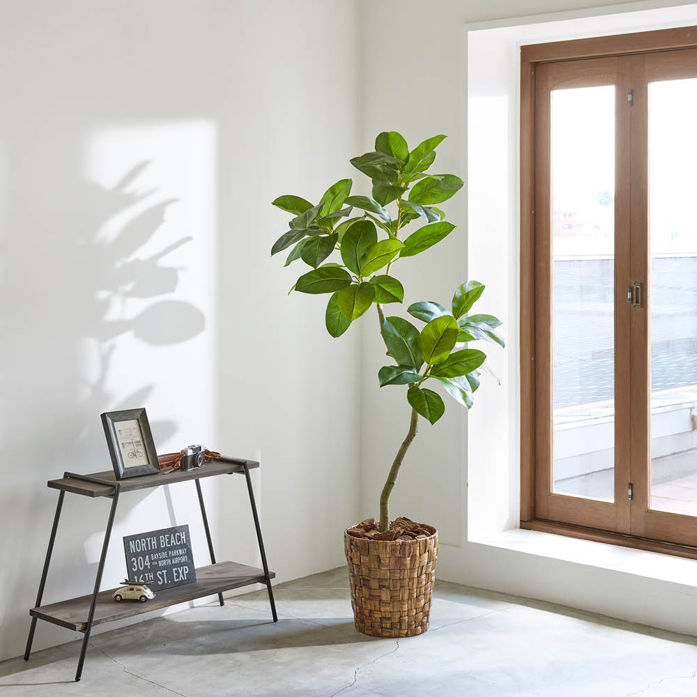 細部の質感にこだわったインテリアグリーン ゴムの木 フェイク インテリアグリーン 人工観葉植物 造花 622151 ＼LINE友だち登録でクーポン／