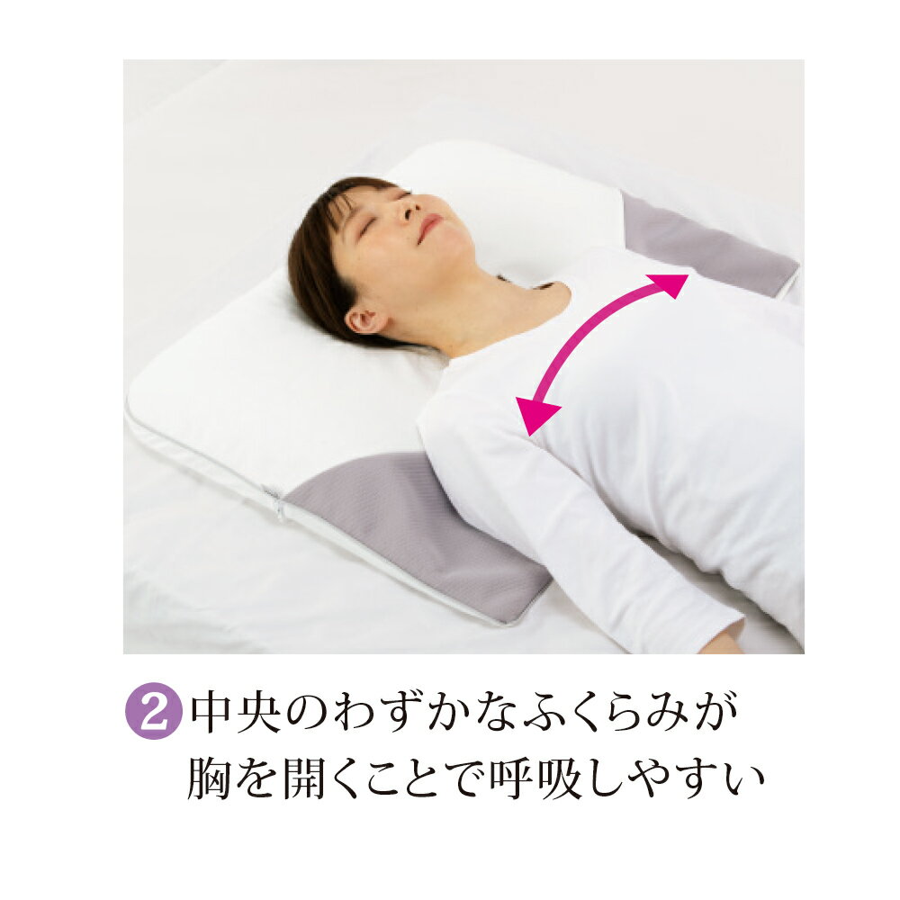 交換無料 ベッド 寝具 布団 枕 抱き枕 ミズノ Dinos 共同企画商品 メディブレスピロー ピローケース付きセット 豪華 Www Iacymperu Org