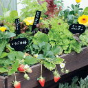 【クーポン配布 11月27日1:59迄】 プランツネーム デザインプレート 16本組 ガーデニンググッズ G85603