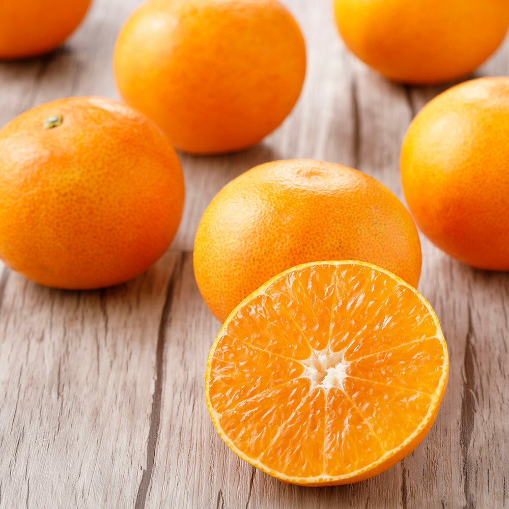 【クーポン最大5千円OFF 11/16限定】 【お歳暮】大分産 天草オレンジ「おひさまきらりん」 2kg【12月上旬-中旬頃お届け】 フルーツ 野菜 果物 NH1147