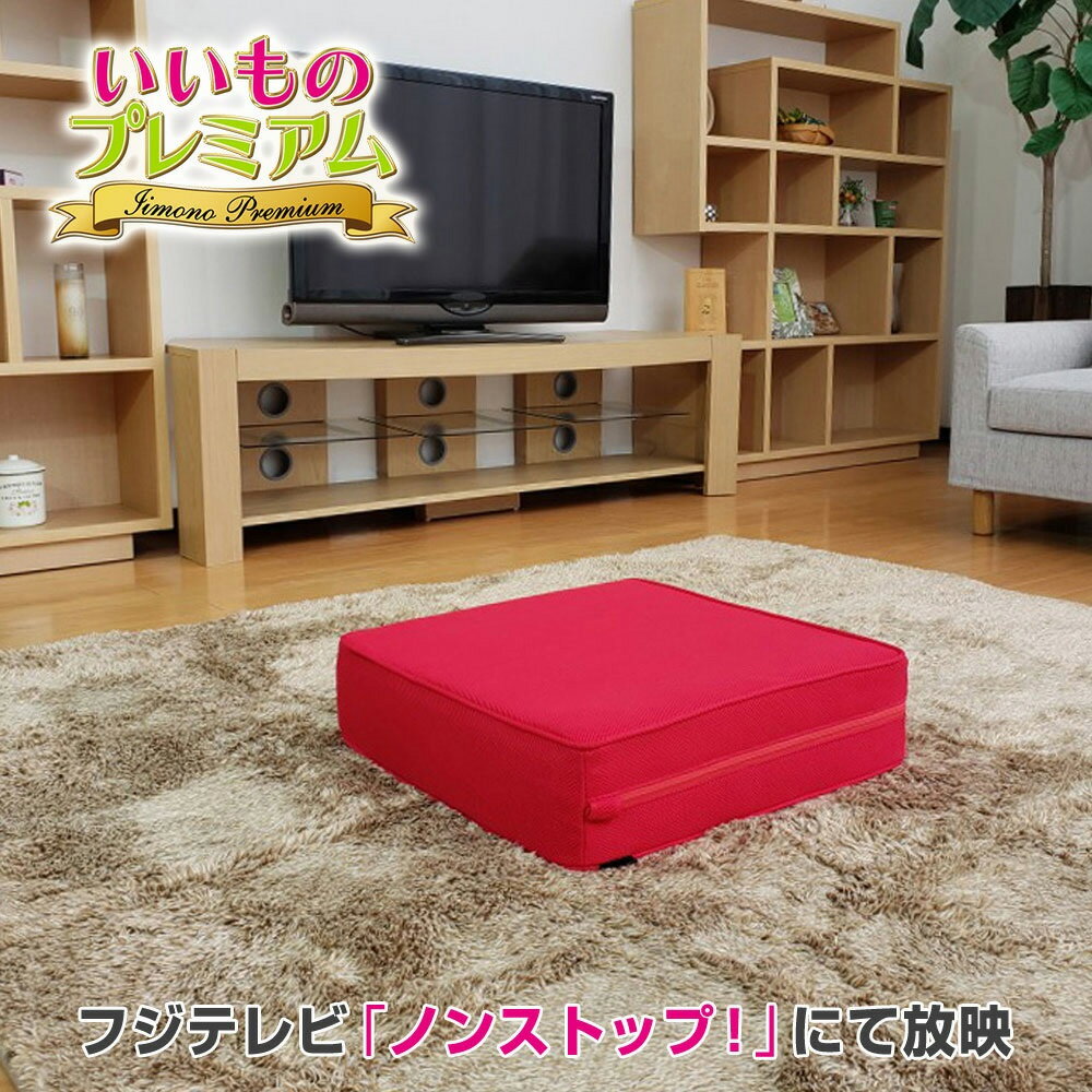 テレビ放送商品 パーフェクトエクサ（R）シェイプ フィットネス器具 AR2015フジテレビ いいものプレミアム トランポリン 大人用 ダイエット 踏み台昇降 ステップ台 昇降運動 エクササイズ ミニトランポリン シェイプ フィットネス クッション 大人