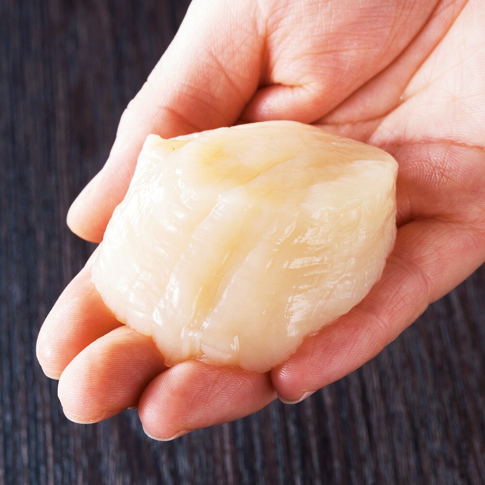 �ڥ����ݥ����5���OFF 3/4 20������4h����� �̳�ƻ����Ⱦ�绺 ��γŷ���ۥ��Ƴ��� 1kg��L������21-25�̡� �� �����ù��� ����ʪ FK0119 ��LINEͧ������Ͽ�ǥ����ݥ�