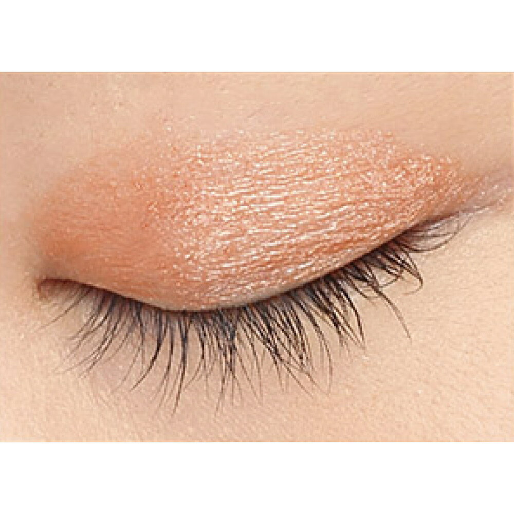 �դ��������ץ�������ɥ� 2�����å� ������ �ᥤ�����å� M72507 ��LINEͧ������Ͽ�ǥ����ݥ�