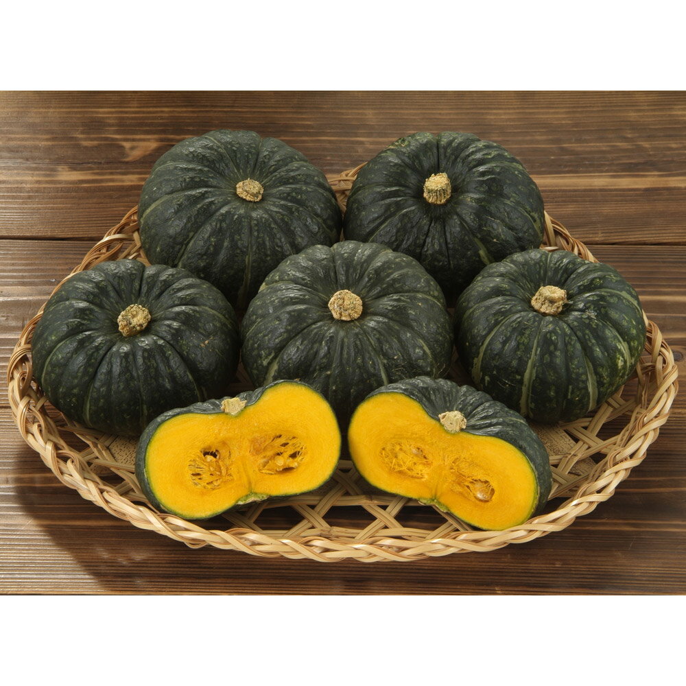 Set, Assortment - 【クーポン10％OFF 5/16迄】 北海道産 空知の坊ちゃんかぼちゃ 3.5kg【8月中旬-下旬頃お届け】 野菜 果物 NH1957 ＼LINE友だち登録でクーポン／