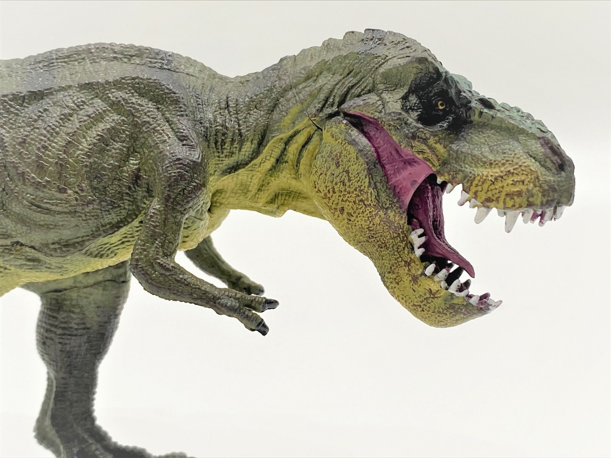 【送料無料】恐竜 ティラノサウルス リアルフィギュア ダイナソー 迫力 観賞用 おもちゃ コレクション 2カラー グリーン ブラウン クリスマス プレゼント 誕生日 記念日 贈り物 バースデー ギフト 特別な日 ご褒美 お祝い dinoストア df004