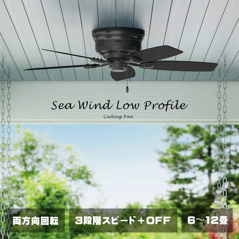 乐天商城 - 【送料無料】ハンター社シーリングファン/おしゃれなシンプルモダンデザイン　 シンプル