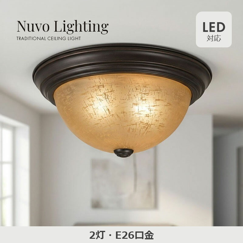 乐天商城 - 【送料無料】2灯シーリングライト シーリング 天井照明 照明器具 寝室 リビング 居間用 ダイニング用 食卓用 インテリア ライト 電気 間接照明 シンプル 洗面所 トイレ 階段 廊下 玄関 モダン 玄関 ライト