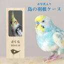 【 名入れ無料 メール便 送料無料 】 鳥の羽根ケース 写真 羽根 はね 鳥 とり インコ ヨウム アヒル ブンチョウ 九官鳥 オウム フクロウ カナリア メモ...