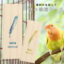 【 名入れ無料 メール便 送料無料 】 鳥の羽根ケース グラデーション 羽根 はね 鳥 とり インコ ヨウム アヒル ブンチョウ 九官鳥 オウム フクロウ カナ...